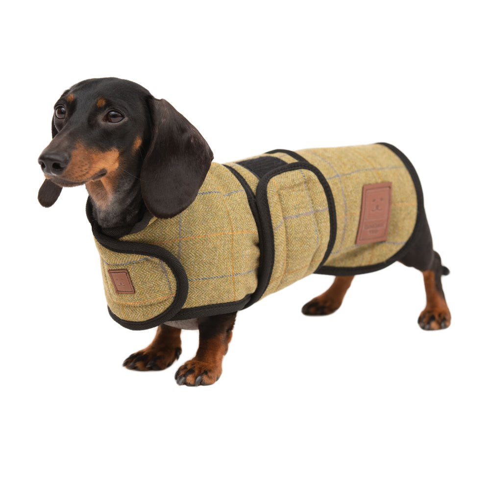 Tweed Dachshund Coat Ginger Ted Ltd - Main Image