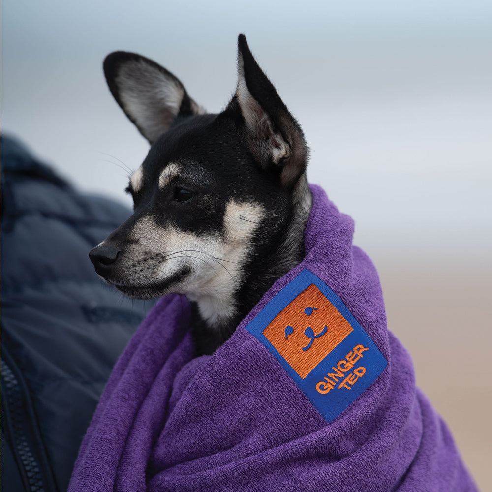 Dog drying blanket hotsell