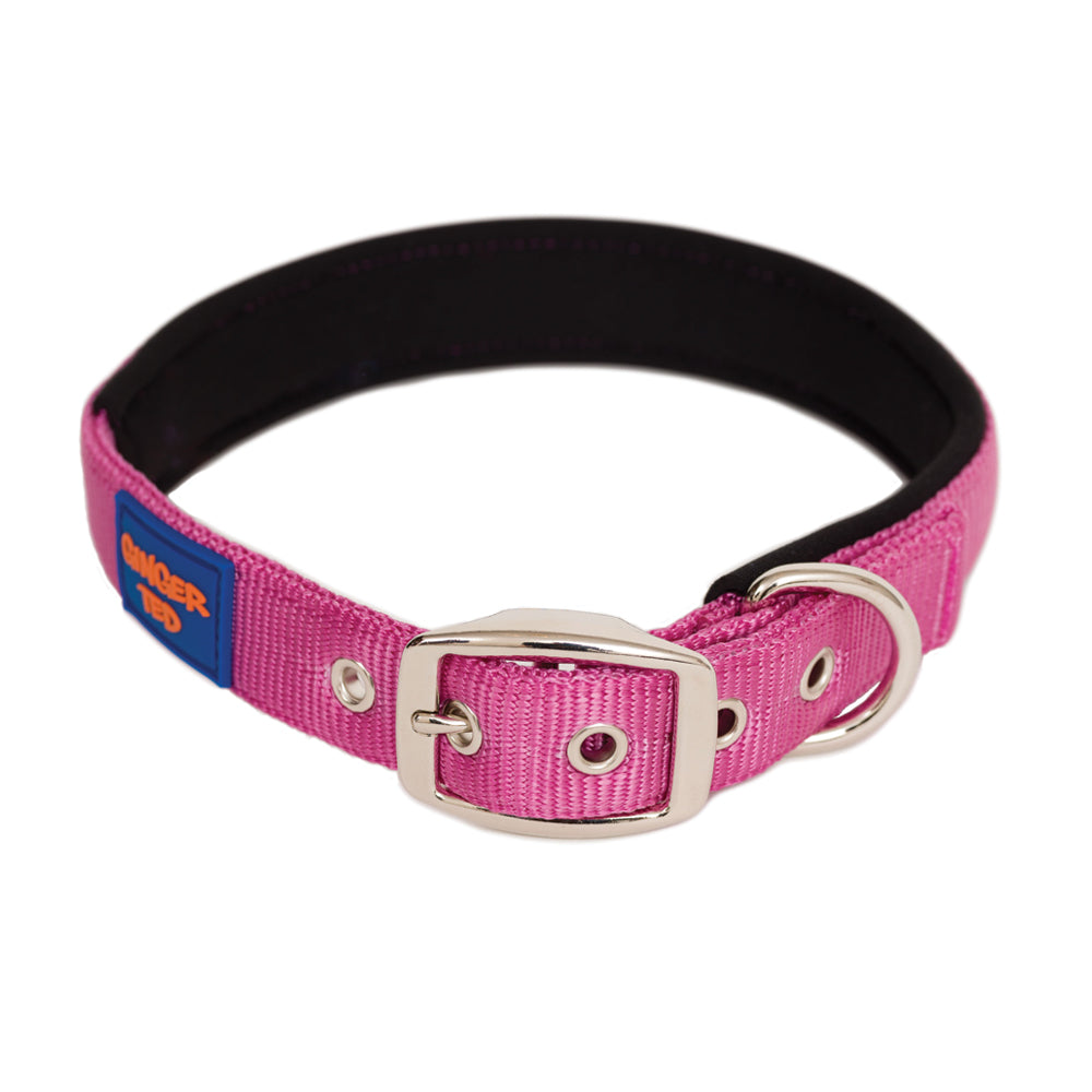 Comfort Nylon Quality Padded Adjustable Dog Collar