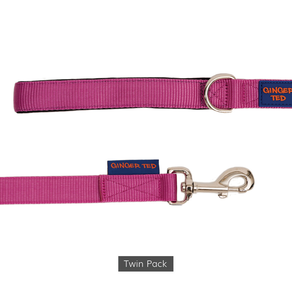 Comfort Nylon Quality Padded Dog Lead