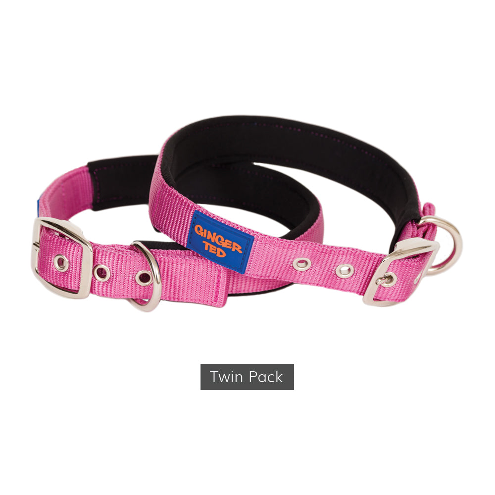 Comfort Nylon Quality Padded Adjustable Dog Collar