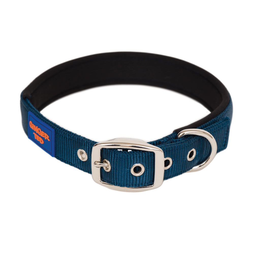 Comfort Nylon Quality Padded Adjustable Dog Collar