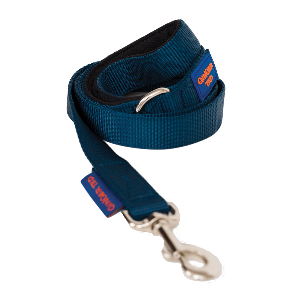 Comfort Nylon Quality Padded Dog Lead