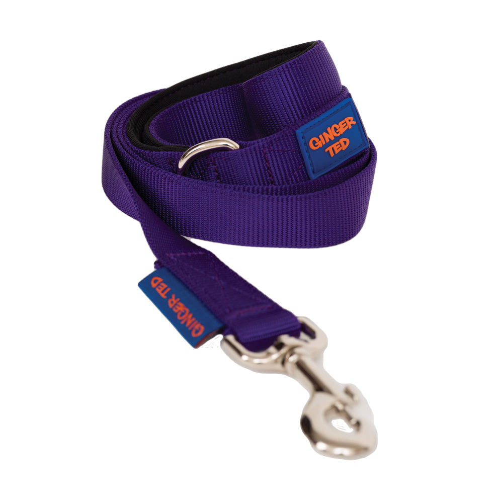 Comfort Nylon Quality Padded Dog Lead