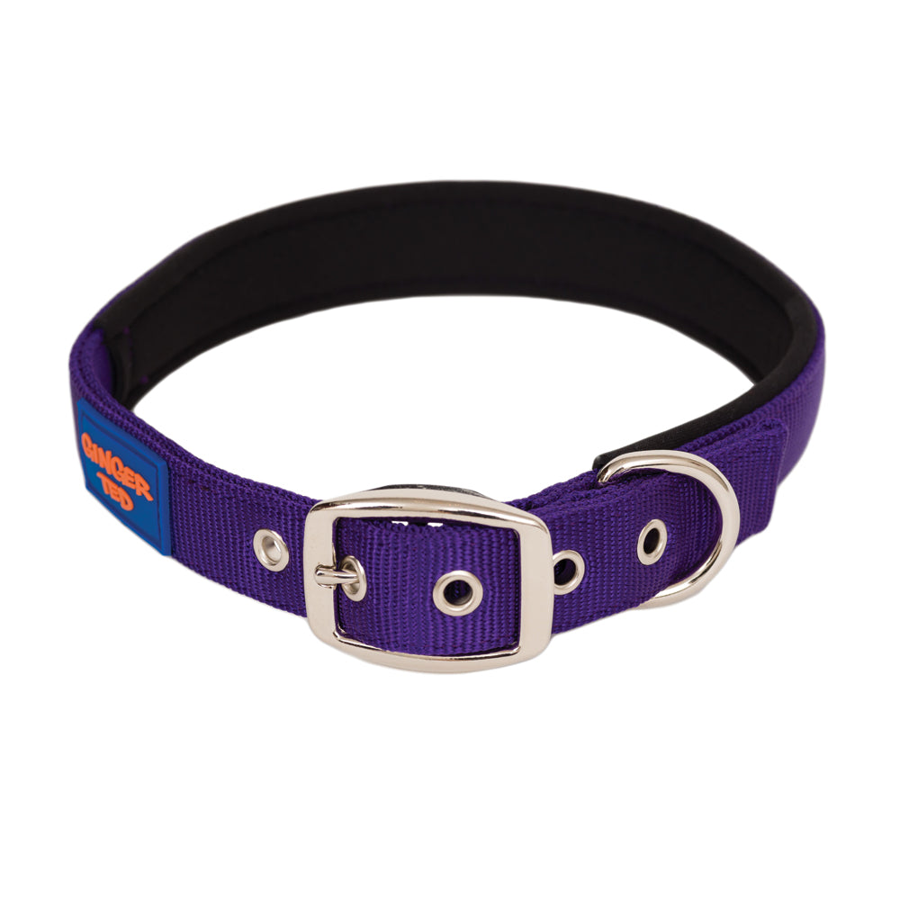 Comfort Nylon Quality Padded Training Leads