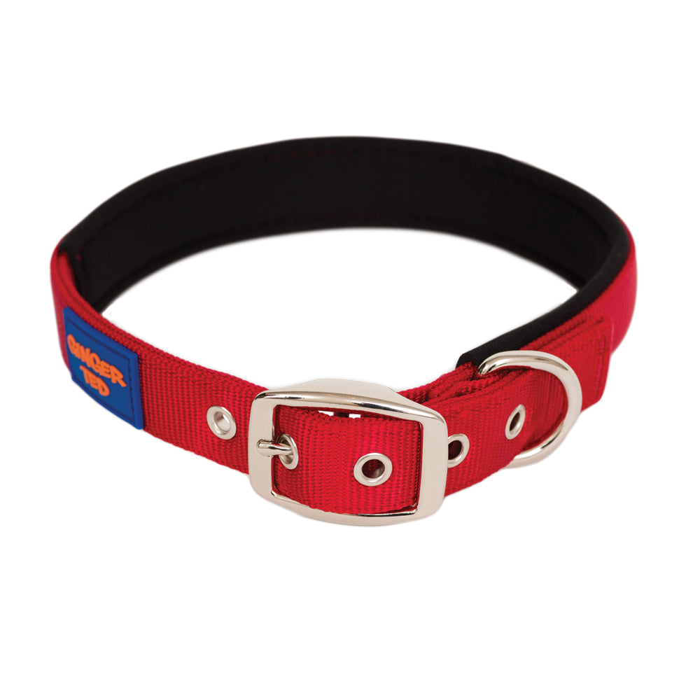 Comfort Nylon Quality Padded Adjustable Dog Collar