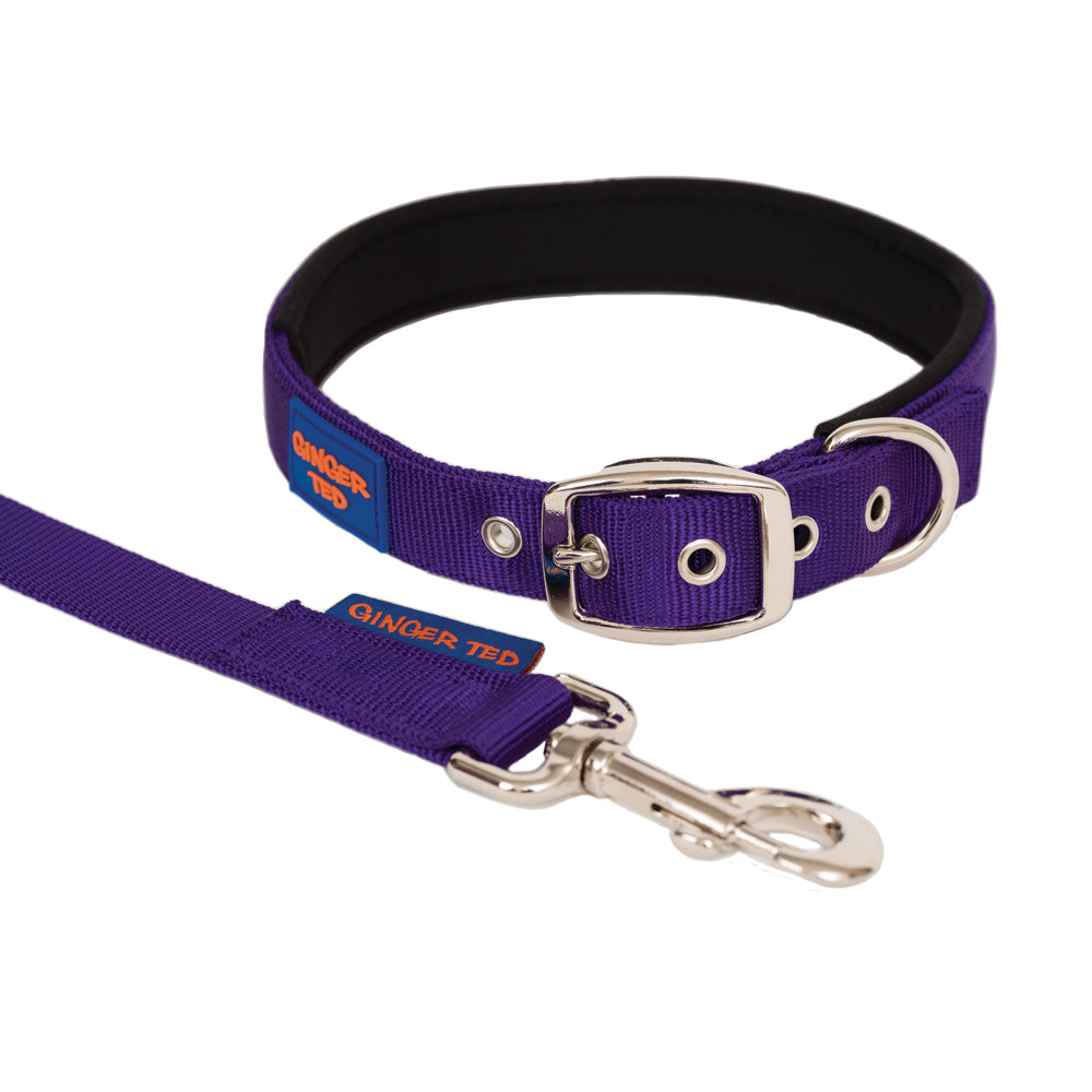 Comfort Nylon Quality Padded Dog Lead