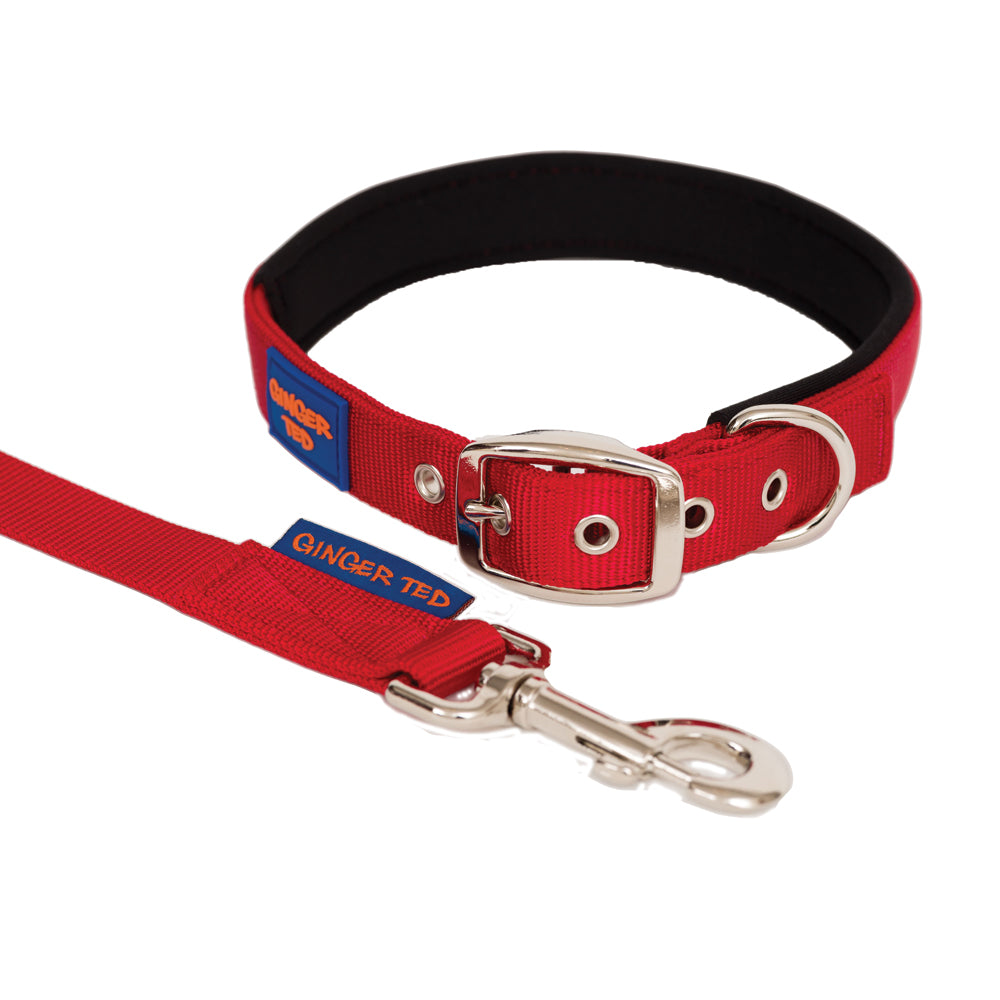 Comfort Nylon Quality Padded Adjustable Dog Collar