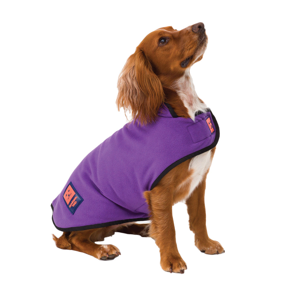 Dog Vest Fleece Dog Shirt BC Rainbow Dog Clothes Warm Pet Vest Shirt Fleece Pet Dog