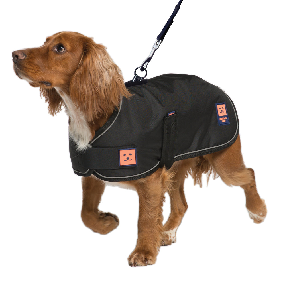 Waterproof Warm Harness Dog Coat Ginger Ted Ltd
