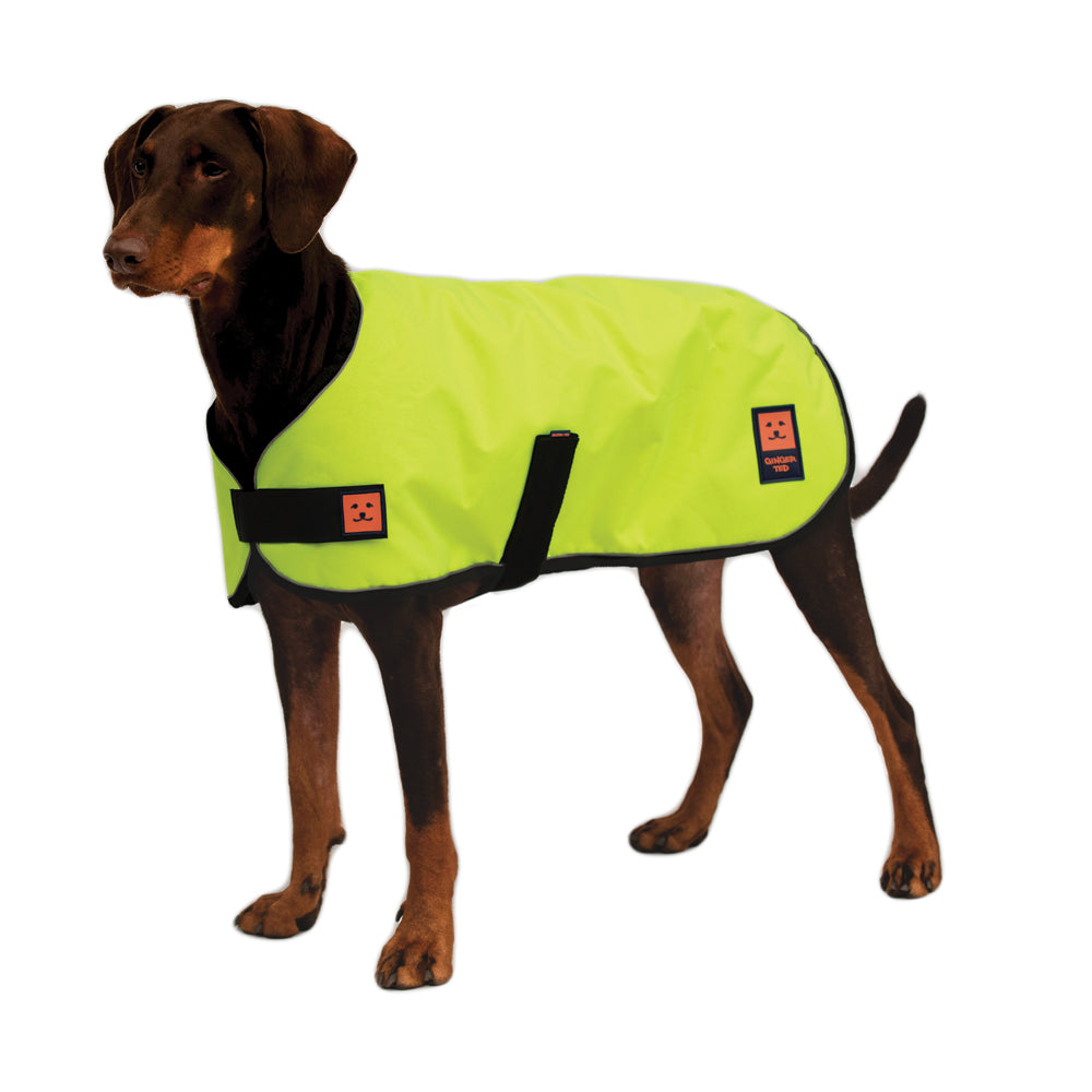 A large size black dog wearing a hi-vis yellow lightweight waterproof coat by Ginger Ted featuring adjustable straps and reflective piping.