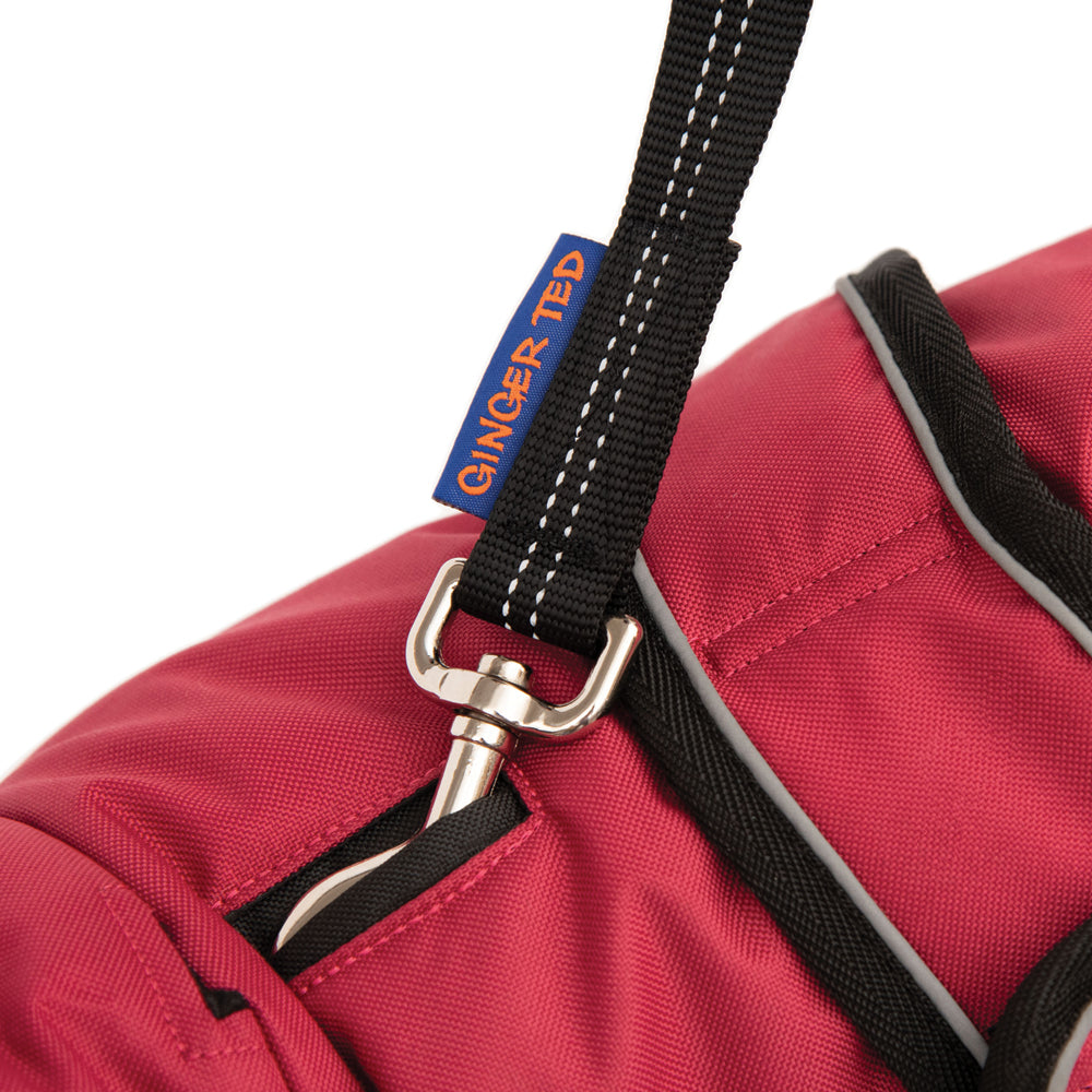 Waterproof Pug / Frenchie Dog Coat with Warm Lining