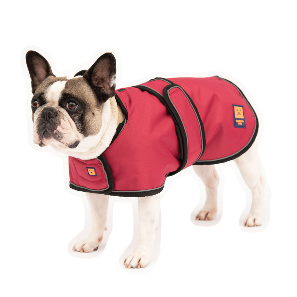 Waterproof Shower Pug / Frenchie Dog Coat with Warm Lining