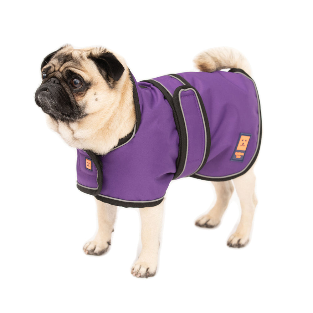 Waterproof Pug / Frenchie Dog Coat with Warm Lining