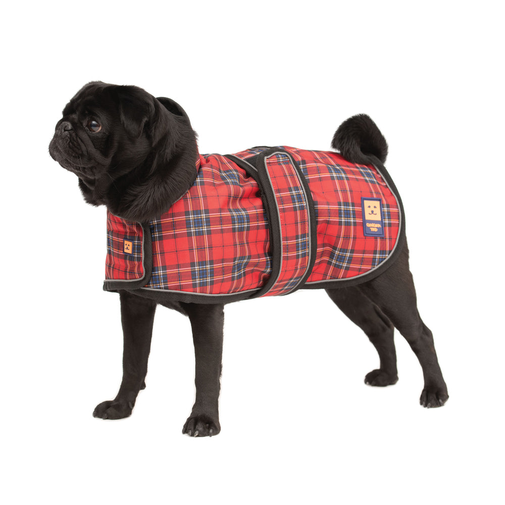 Waterproof Pug / Frenchie Dog Coat with Warm Lining
