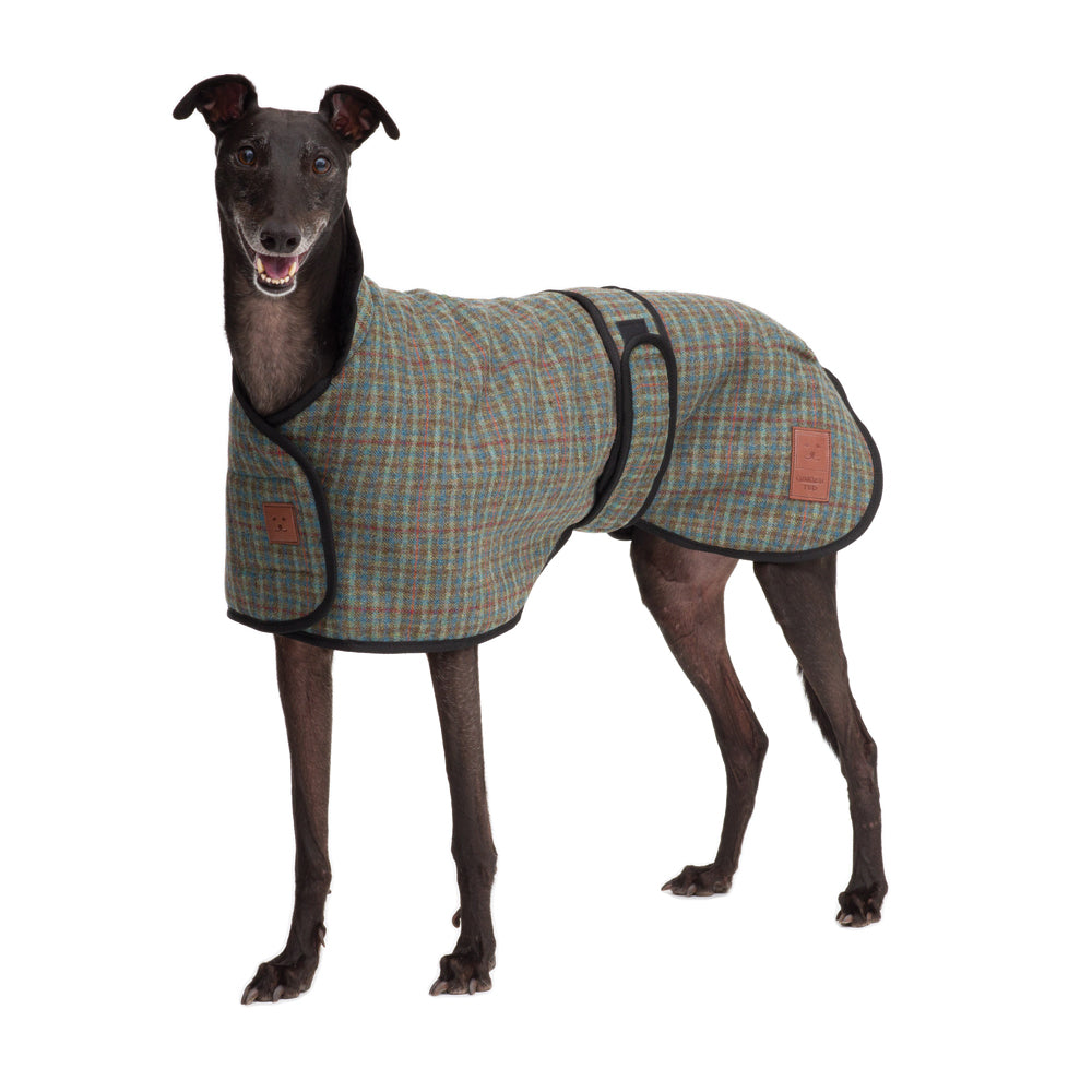 Tweed Greyhound Coat
