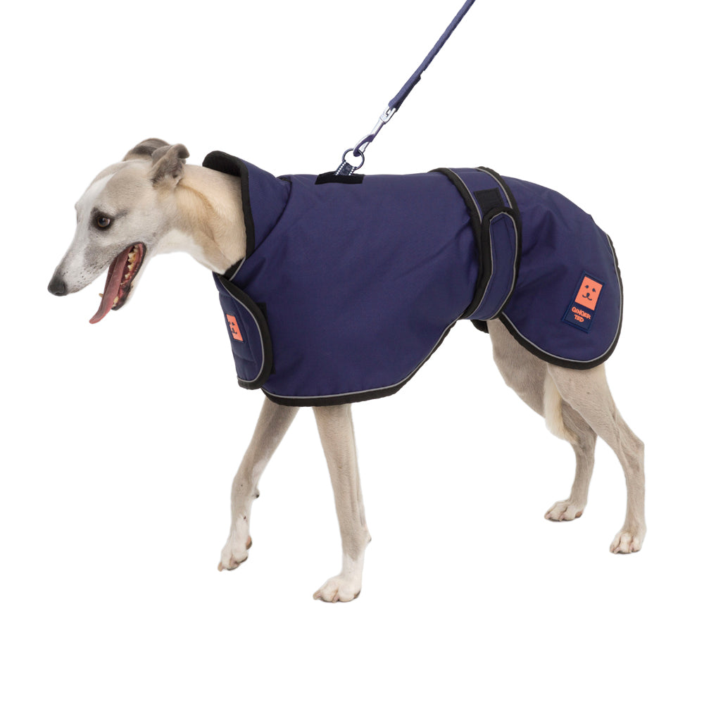 Waterproof Greyhound Harness Dog Coat with Warm Lining