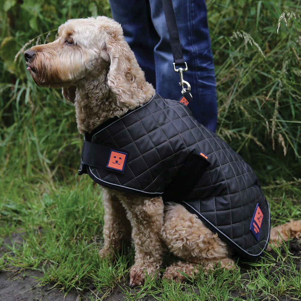 Thermal Harness Quilted Dog Coat