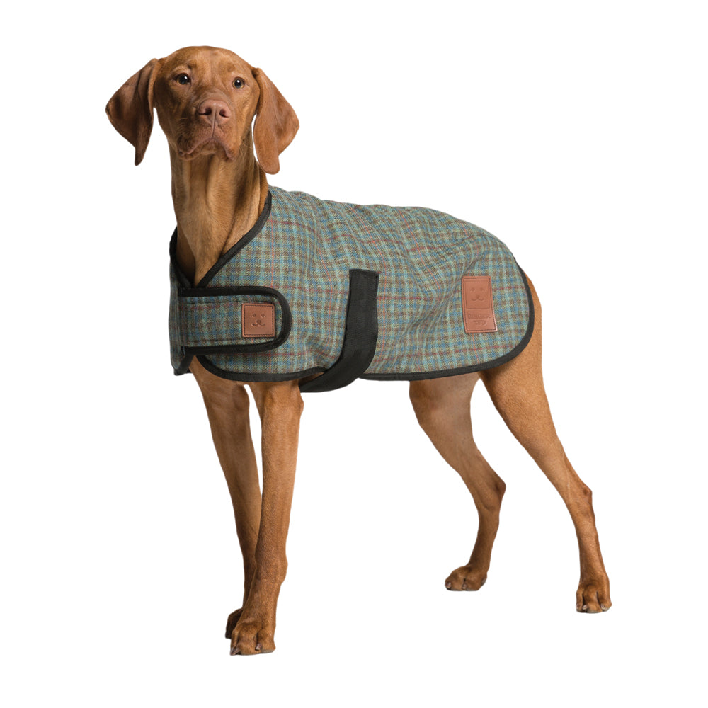 Tweed Dog Coat