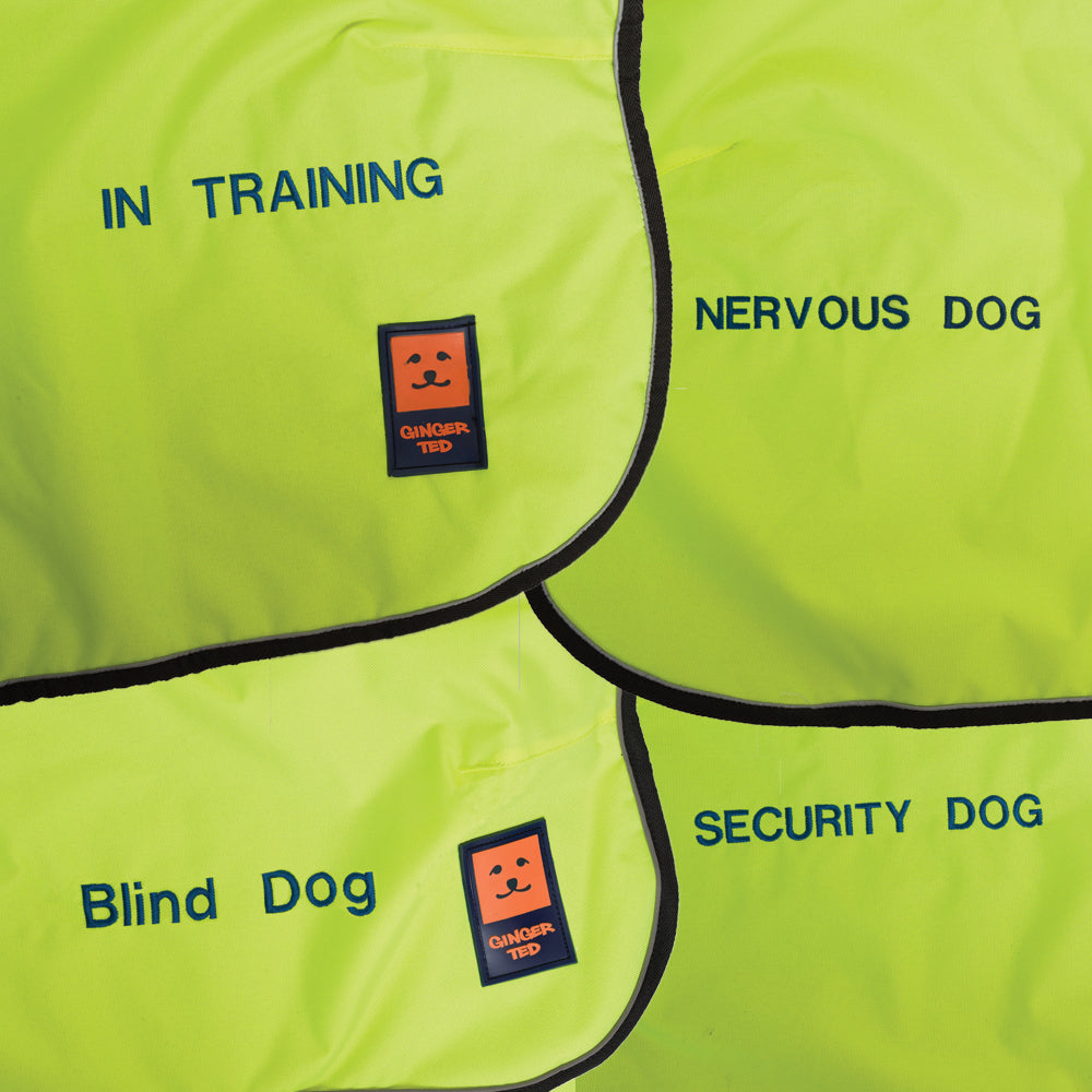 Waterproof Shower Greyhound Coat for Vulnerable / Working / Awareness Dogs