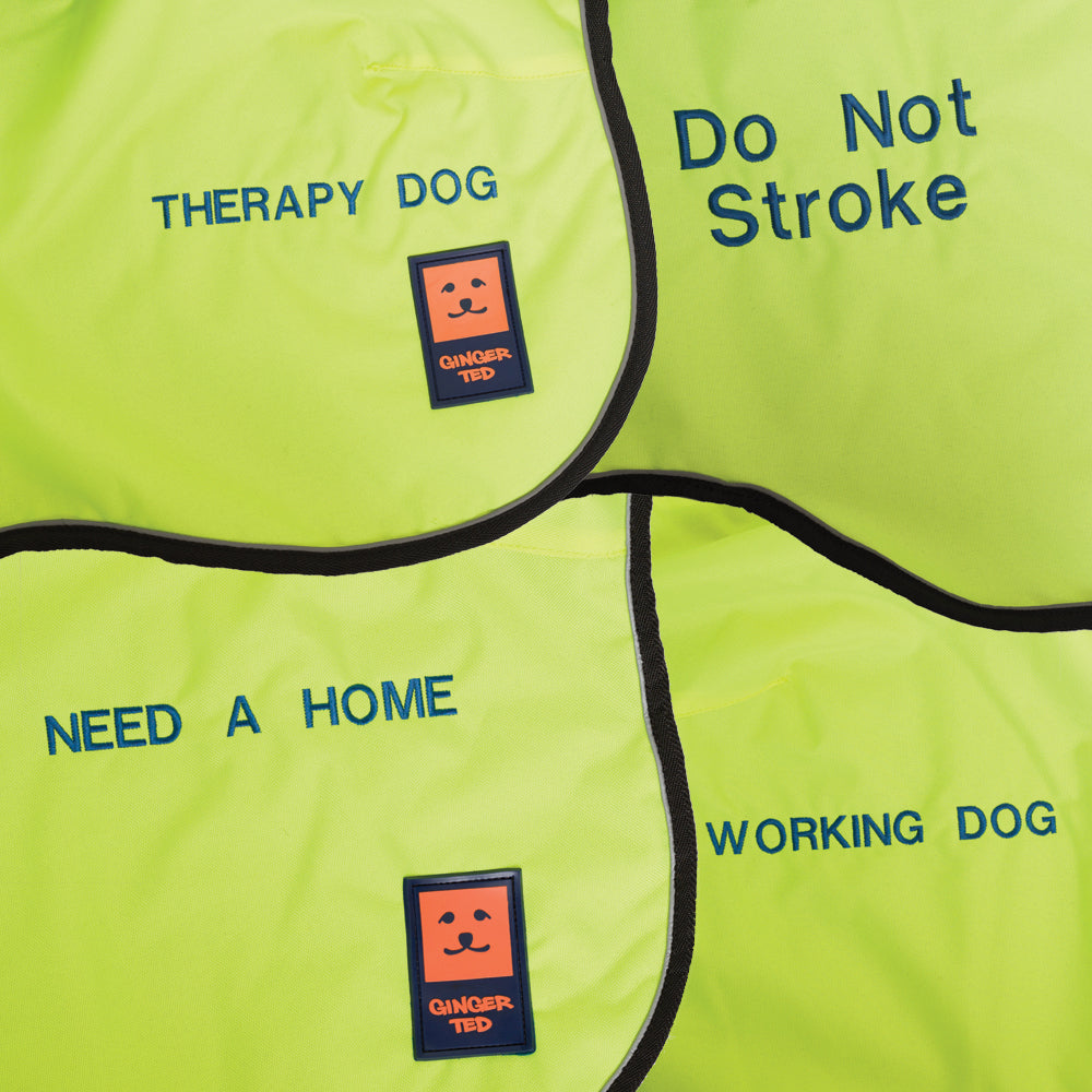 Ginger Ted yellow waterproof dog coats with example embroideries including THERAPY DOG and Do Not Stroke
